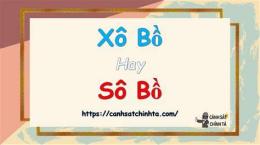 ảnh chụp màn hình sô bồ hay xô bồ