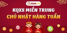 giao diện app coi xổ số miền trung hàng tuần