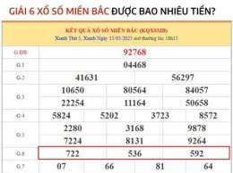 giao diện app giải 6 xổ số được bao nhiêu tiền