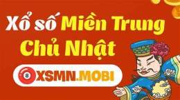 giao diện app hàng tuần xổ số chủ nhật hàng tuần