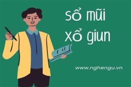 giao diện app sổ giun hay xổ giun