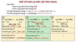 hướng dẫn sử dụng cách tính xổ số