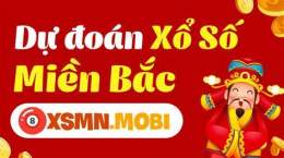 hướng dẫn sử dụng du doan xo so mb 247