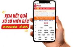 hướng dẫn sử dụng kết quả tra cứu xổ số