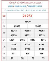 hướng dẫn sử dụng kết quả xổ số 3 tháng