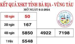 hướng dẫn sử dụng kết quả xổ số bà rịa vũng tàu ngày 2 tháng 6