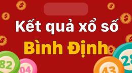 hướng dẫn sử dụng kết quả xổ số bình định ngày 29 tháng 1