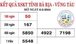 hướng dẫn sử dụng kết quả xổ số đài bà rịa vũng tàu