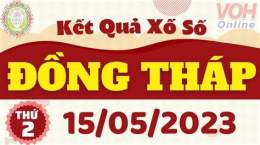 hướng dẫn sử dụng kết quả xổ số đồng tháp ngày 15 tháng 12