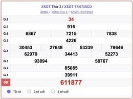 hướng dẫn sử dụng kết quả xổ số đồng tháp ngày 31 tháng 8