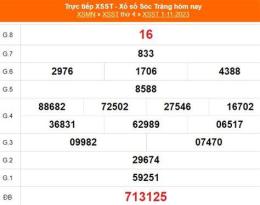 hướng dẫn sử dụng kết quả xổ số long an ngày 29 tháng 11