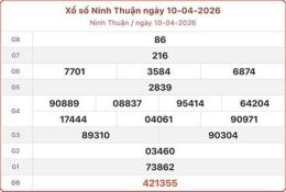 hướng dẫn sử dụng kết quả xổ số ninh thuận minh ngọc