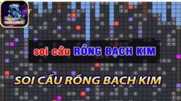 hướng dẫn sử dụng ket qua xo so rong bach kim
