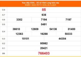 hướng dẫn sử dụng kết quả xổ số vĩnh long ngày 29 tháng 5