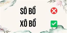 hướng dẫn sử dụng sô bồ hay xô bồ