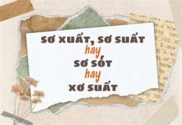 hướng dẫn sử dụng sơ suất hay xơ suất