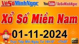 hướng dẫn sử dụng số