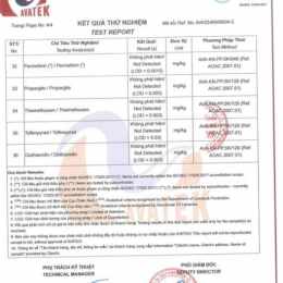 sổ xô miên nam 20 2