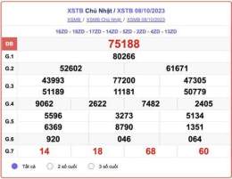 tính năng nổi bật kết quả xổ số thái bình minh ngọc