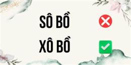 tính năng nổi bật sô bồ hay xô bồ