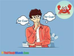 tính năng nổi bật sơ cua hay xơ cua
