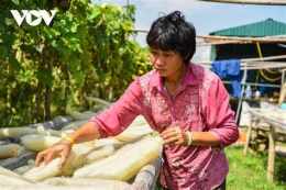 tính năng nổi bật sơ mướp hay xơ mướp