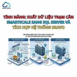 tính năng nổi bật số xổ hue