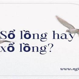xổ lồng hay sổ lồng