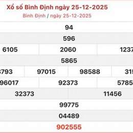 xổ số bình định 25 12