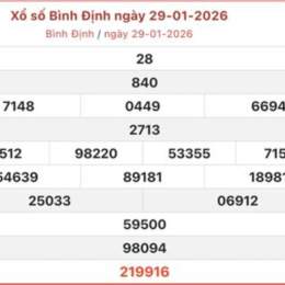 xổ số bình định 29/1