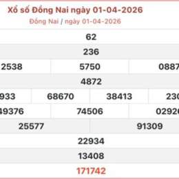 xo so dong nai 29 7