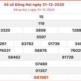 xo so dong nai 31 12