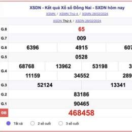 xổ số dong nai 6 5