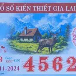 xổ số gia lai 21 tháng 11
