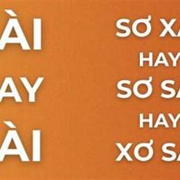 xơ xài hay sơ sài
