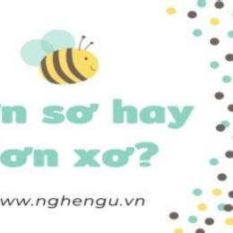 xơ xơ hay sơ sơ